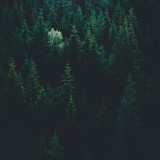 evgeni-evgeniev-LPKk3wtkC-g-unsplash