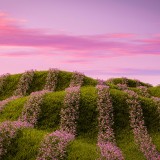 a-chosen-soul-g-eapAyGWxk-unsplash