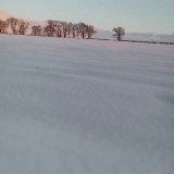 aleksandra-boguslawska-2ub5LmtAeT0-unsplash