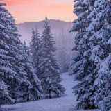 ales-krivec-QdQuUeMv-1A-unsplash