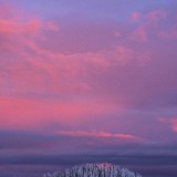 daniel-mirlea-Kg_1MYaz1I4-unsplash