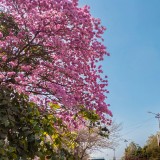 khushal-trivedi-0VW0Q6IW0UE-unsplash