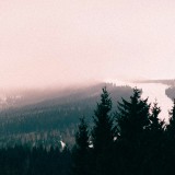 roman-kraft-K8fkkvFfPpc-unsplash