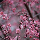 seele-an-fFGLtt0w0Vk-unsplash