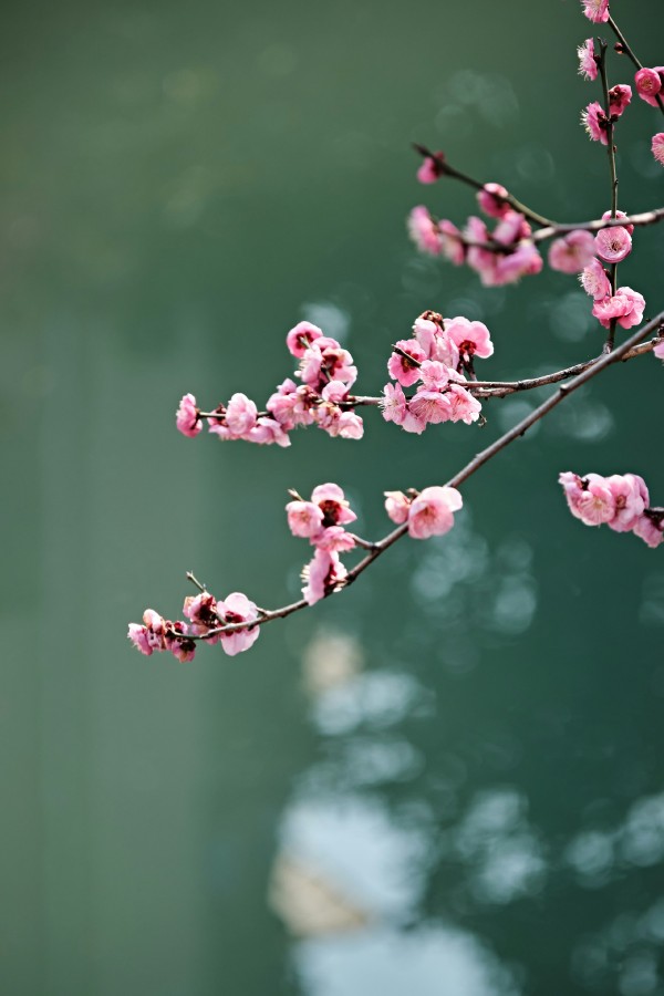 seele an gXYiuiNon14 unsplash