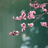 seele-an-gXYiuiNon14-unsplash