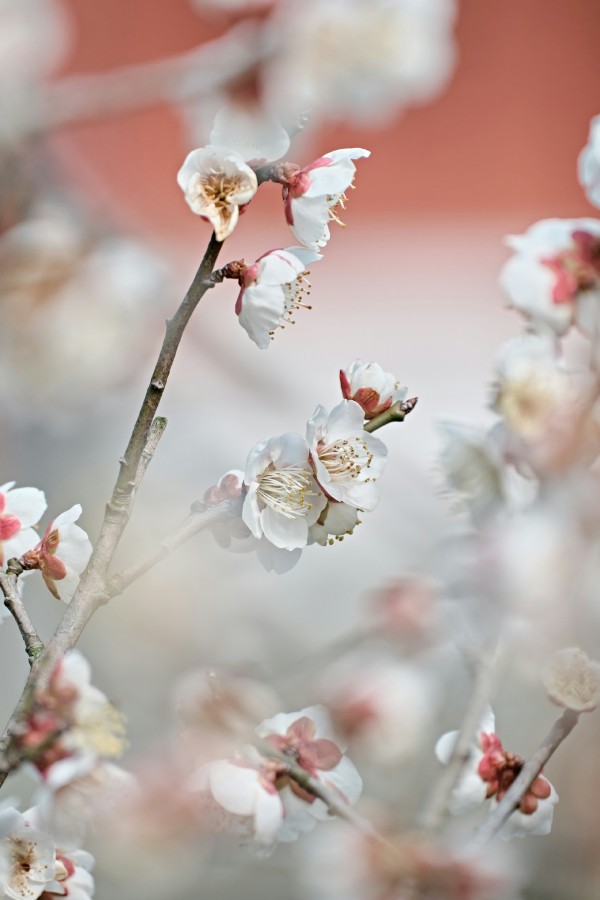 seele an iczyHrf6pUc unsplash